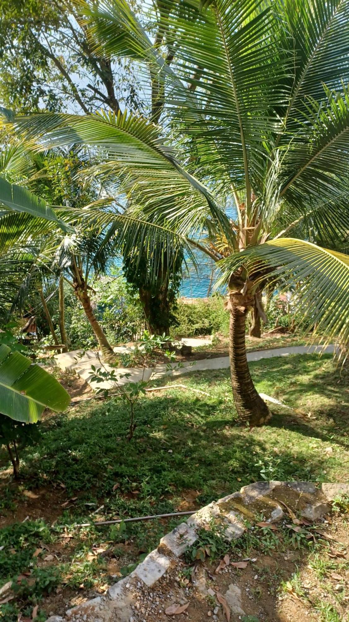 Hotel Saracura Praia de Araçatiba Exteriér fotografie